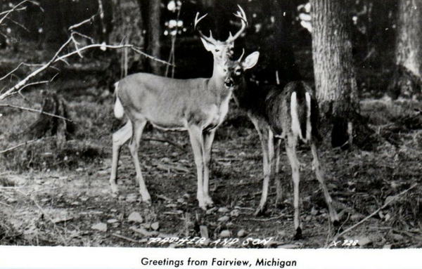 Fairview - Old Postcard (newer photo)